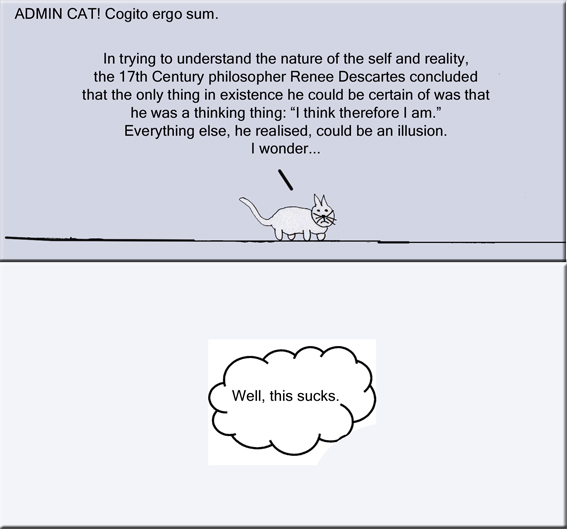 Admin Cat Cogito ergo sum copy