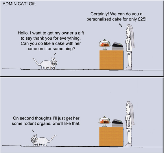Admin Cat Gift copy