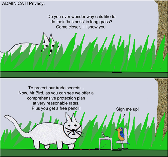 Admin Cat Privacy copy