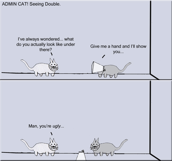 Admin Cat seeing double master copy