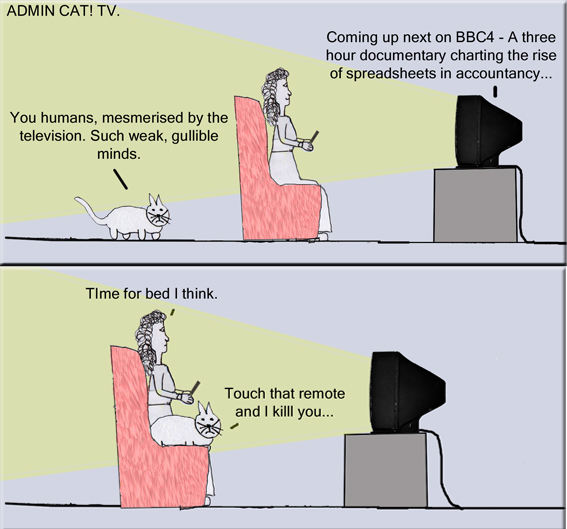 Admin Cat TV copy