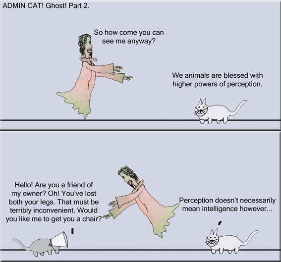 Admin Cat Ghost pt 2 copy