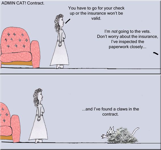 Admin Cat Contract copy